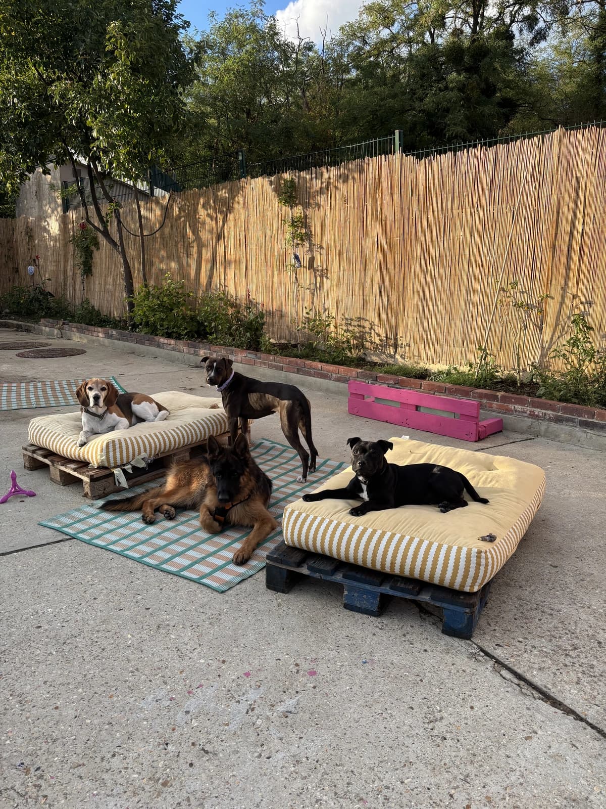 Sieste au jardin
