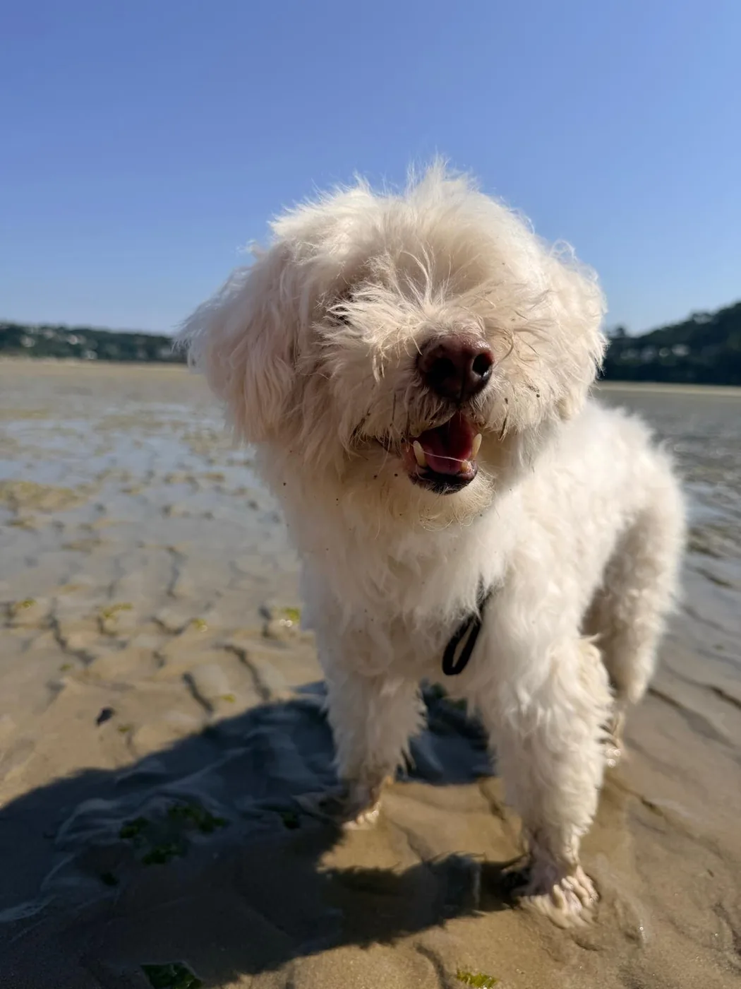 Journée à la plage